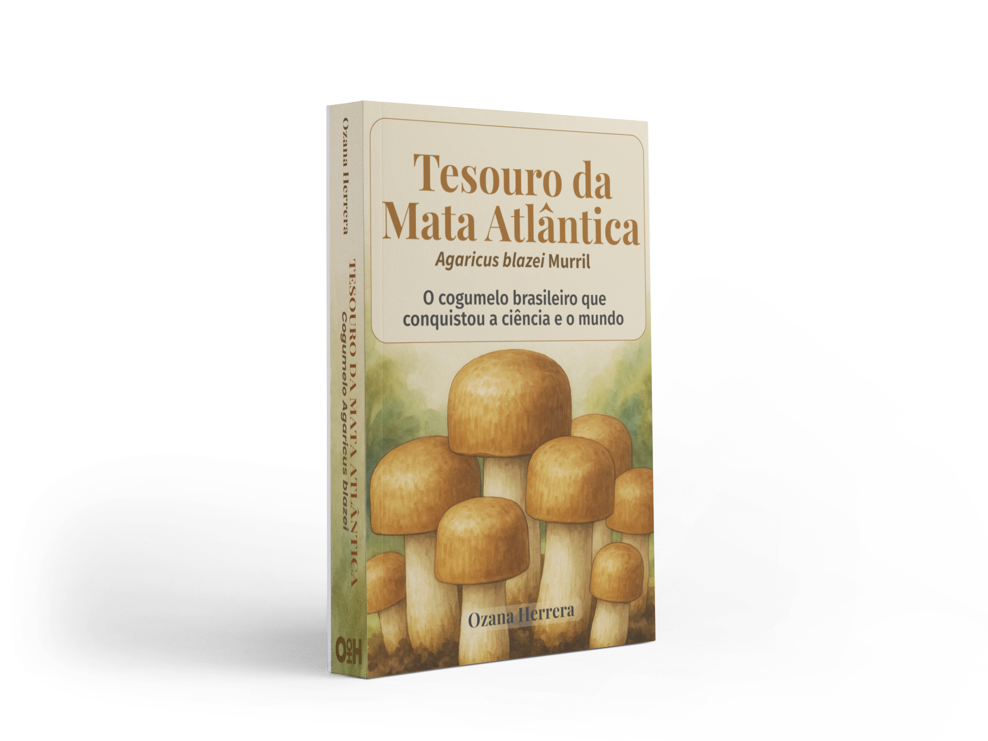 Tesouro da Mata Atlântica