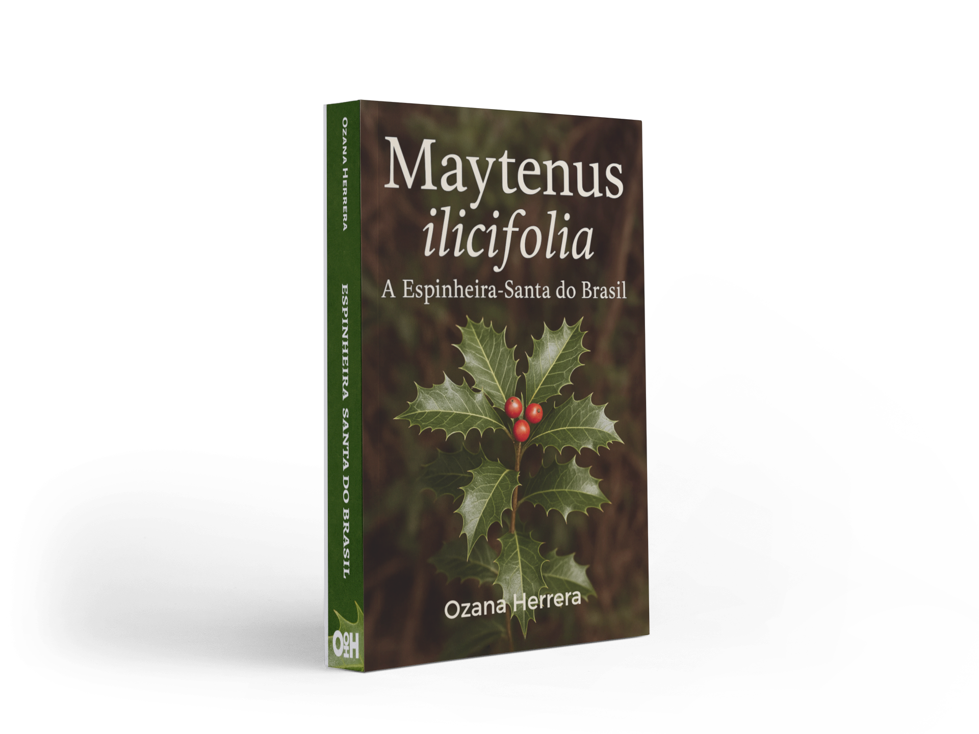Maytenus ilicifolia