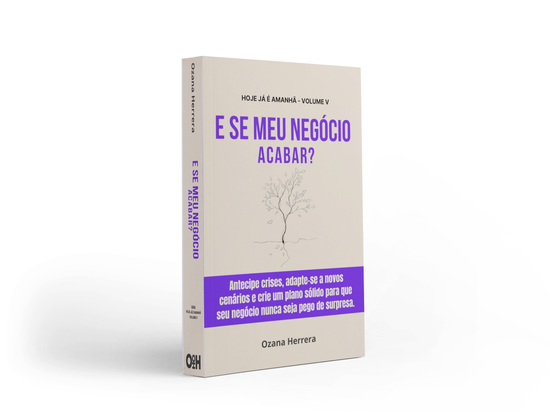 E Se Meu Negócio Acabar?