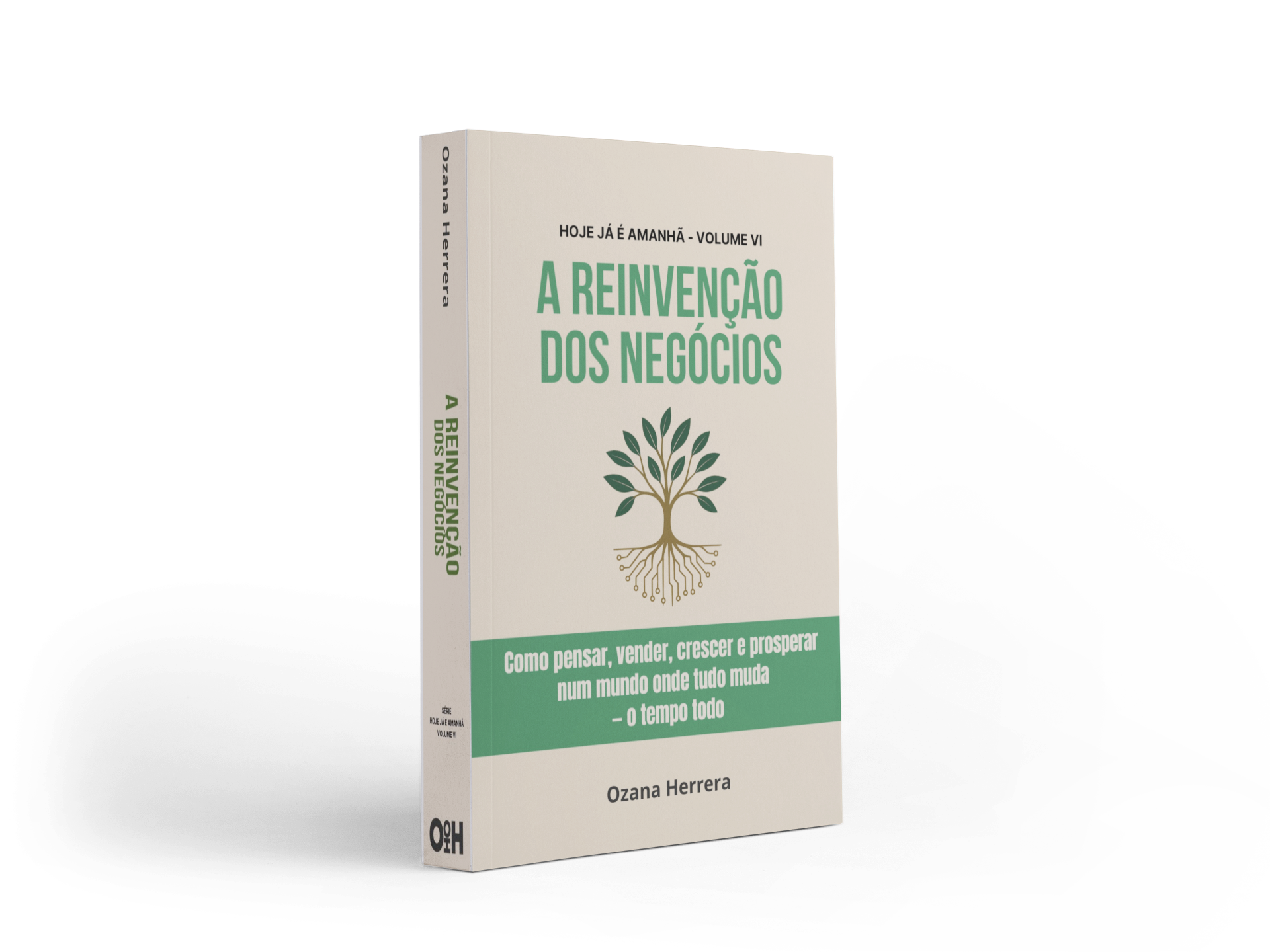 A Reinvenção dos Negócios